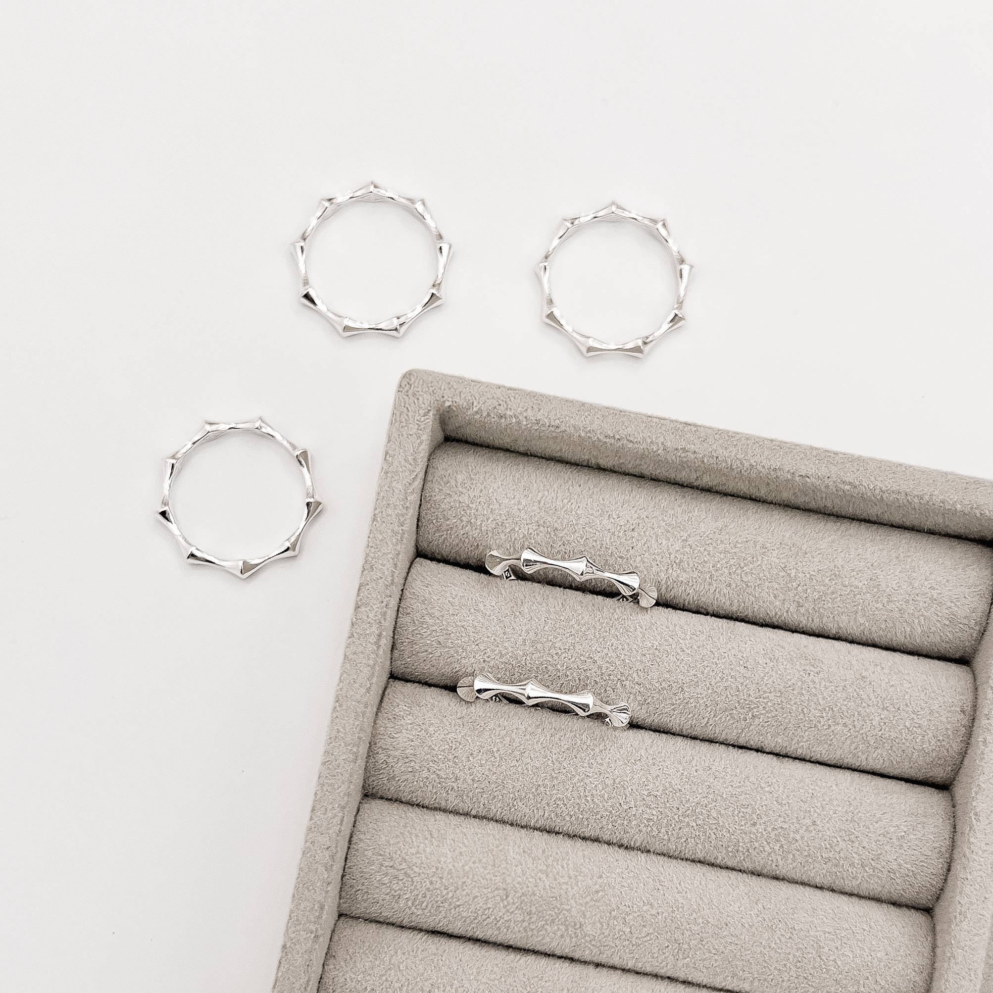 Imagem Secundária Anel relevos