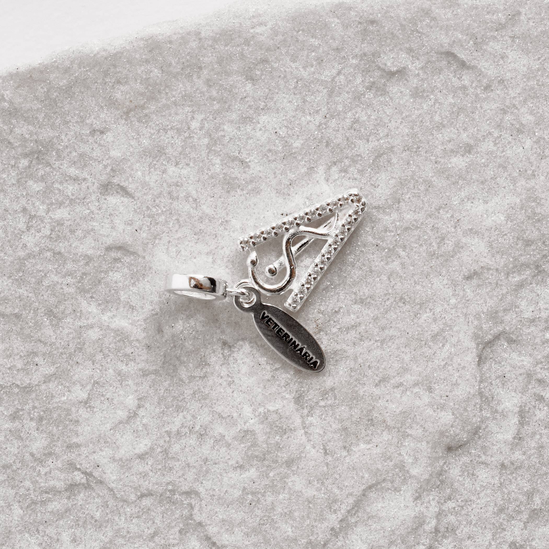 Berloque pingente placa Veterinária com símbolo cravejado 14mm